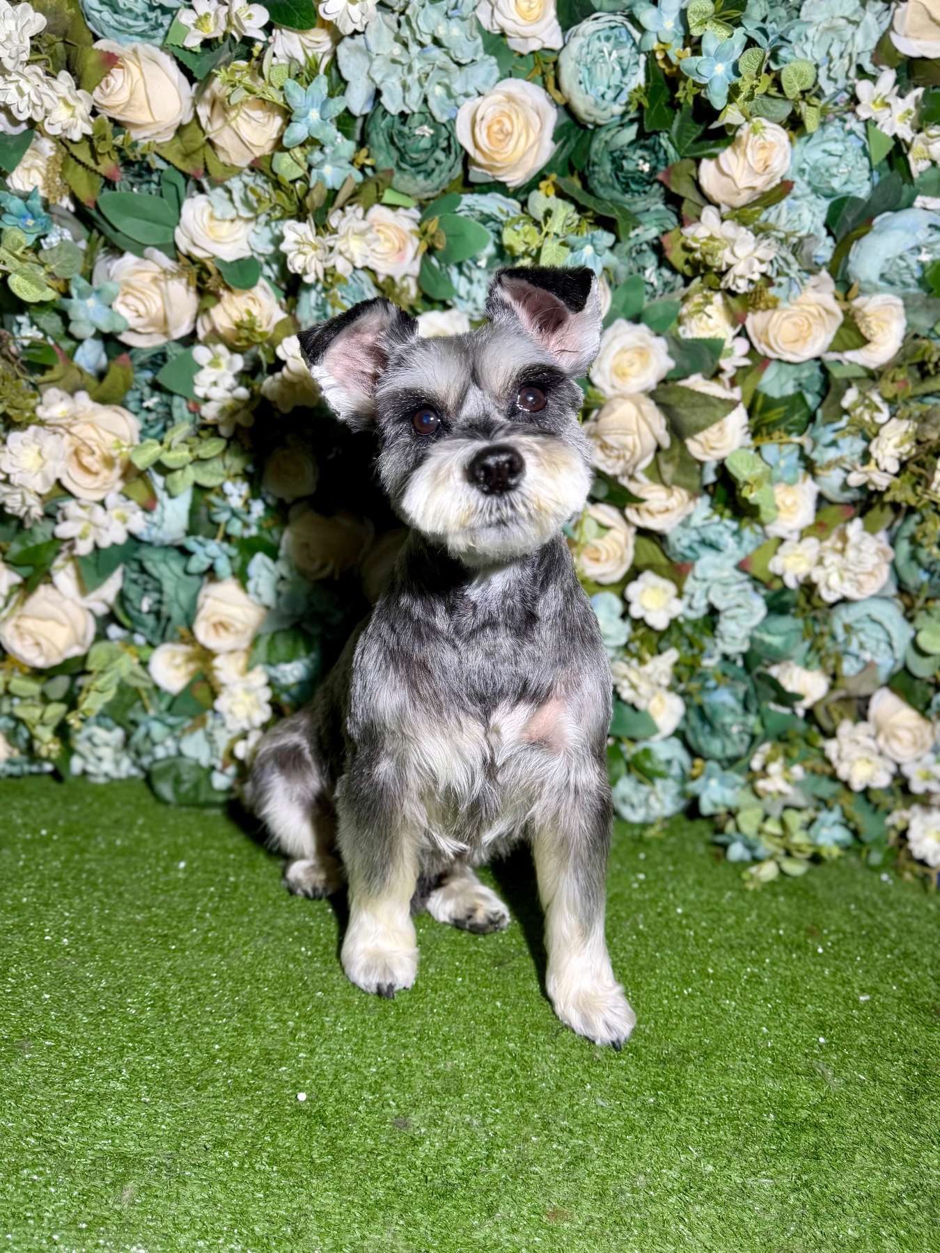 Bonnie after their groom with Lucy